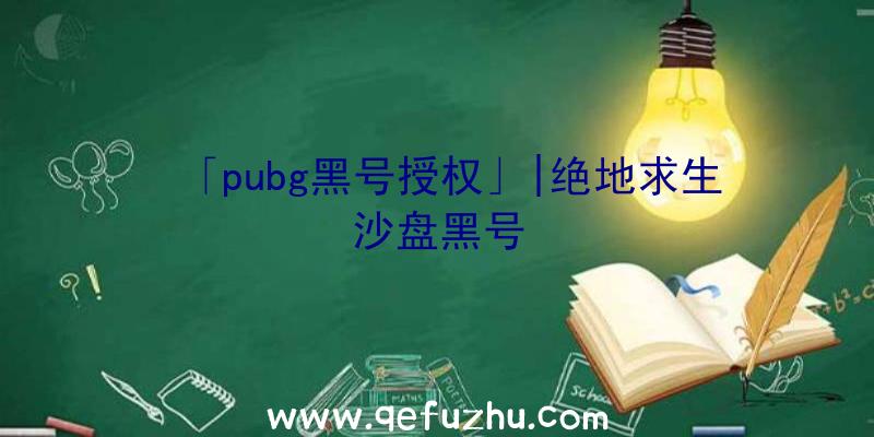 「pubg黑号授权」|绝地求生沙盘黑号